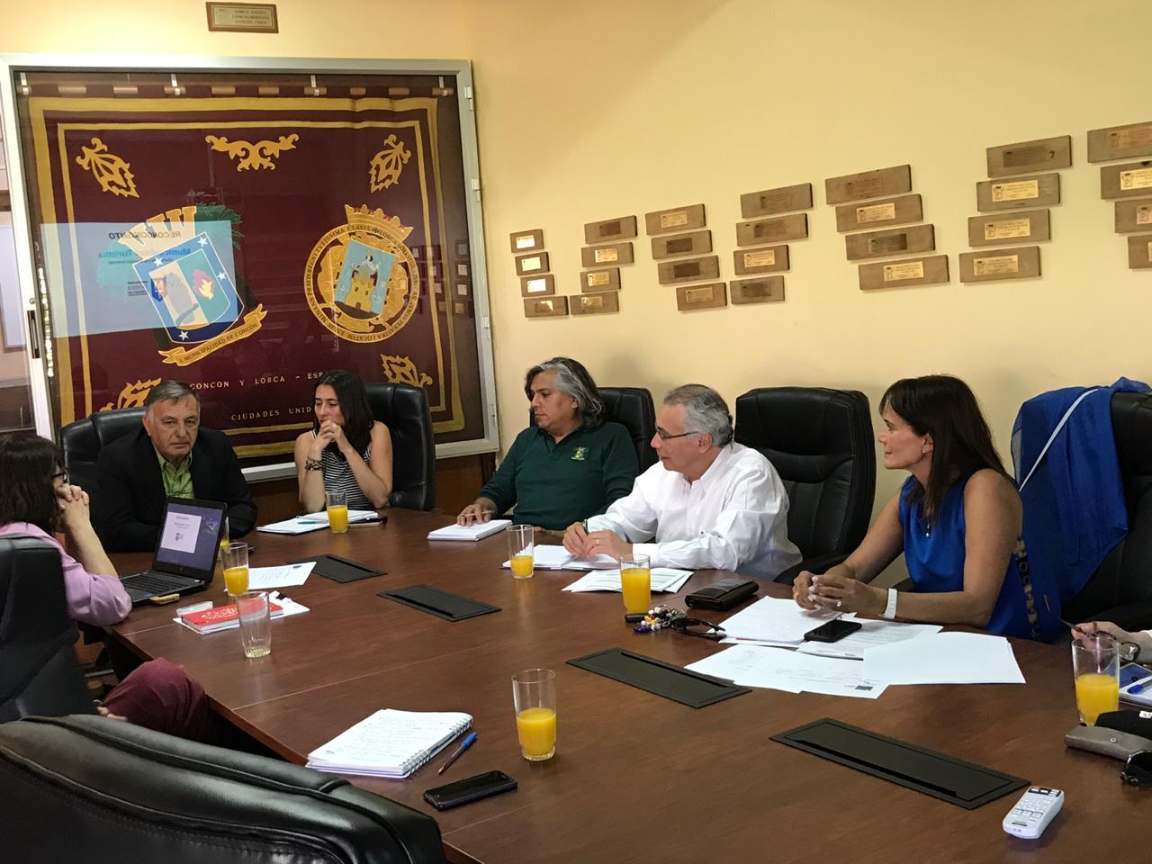 rauconsultores.cl